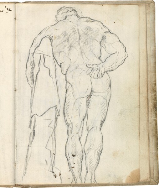 Hércules Farnese (vista dorsal izquierda)