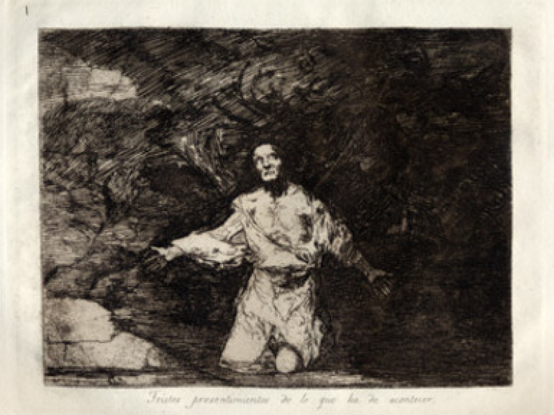 El catálogo online de la Fundación Goya muestra 'Los desastres de la Guerra'. Heraldo.es