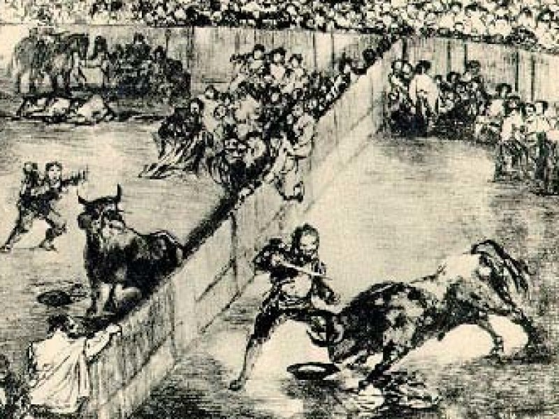 La tauromaquia de Francisco de Goya llega a Argentina. Aplausos.es